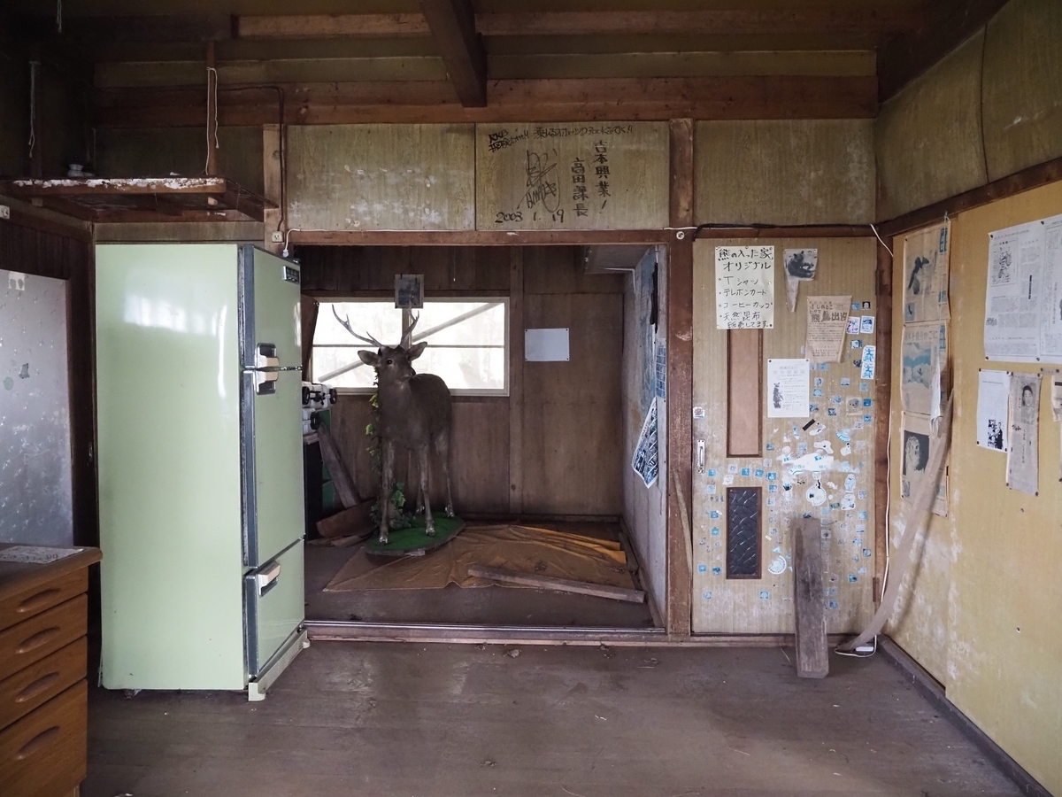 民宿 熊 の 入っ た 家