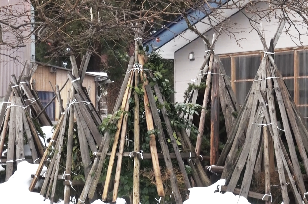 f:id:kontei:20170227230809p:plain f:id:kontei:20170227230809p:plain