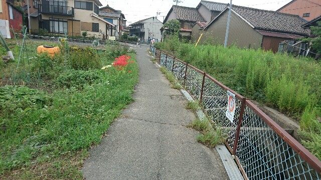 f:id:kontonsan:20160924114529j:plain f:id:kontonsan:20160924114529j:plain