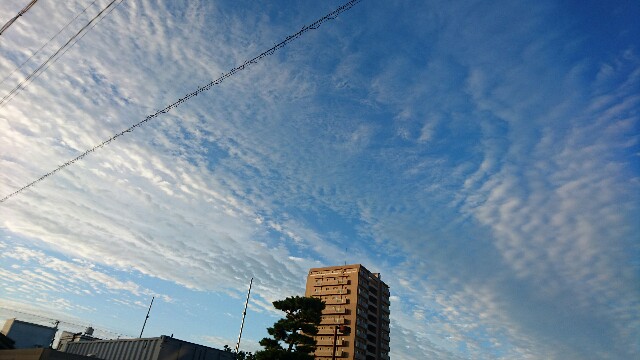 f:id:kontonsan:20161010074625j:plain f:id:kontonsan:20161010074625j:plain