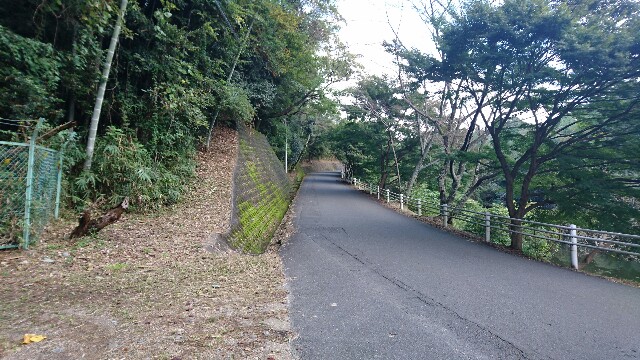 f:id:kontonsan:20161010075249j:plain f:id:kontonsan:20161010075249j:plain