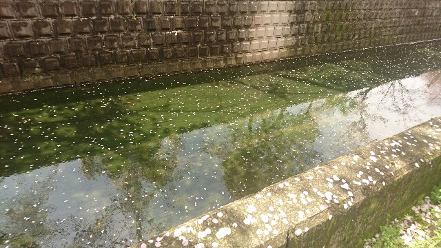 f:id:kontonsan:20170416090600j:plain f:id:kontonsan:20170416090600j:plain