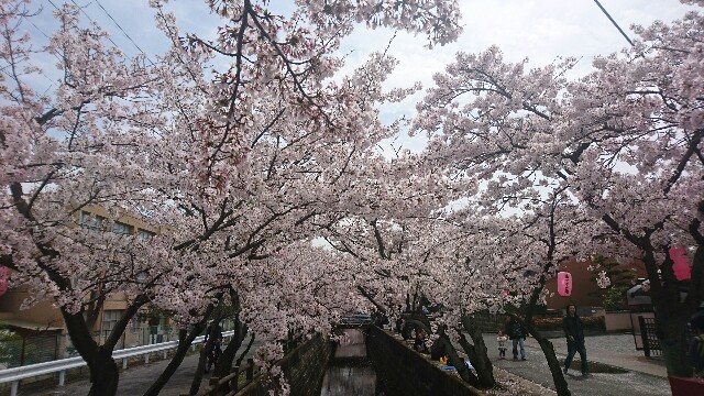 f:id:kontonsan:20170416090604j:plain f:id:kontonsan:20170416090604j:plain