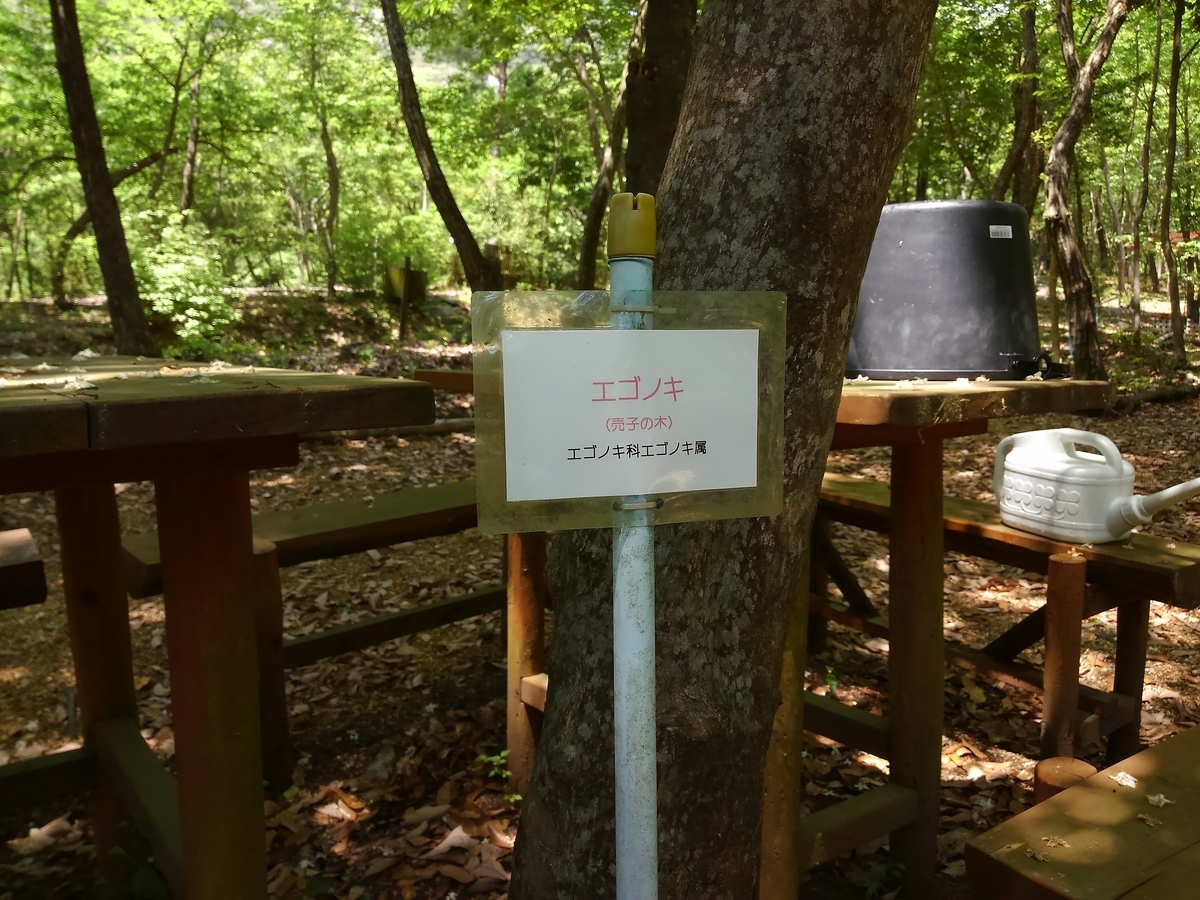 f:id:kontyuroujin:20190515160411j:plain