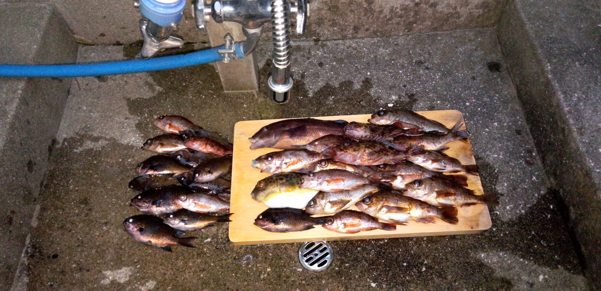 f:id:kontyuroujin:20220108173603j:plain