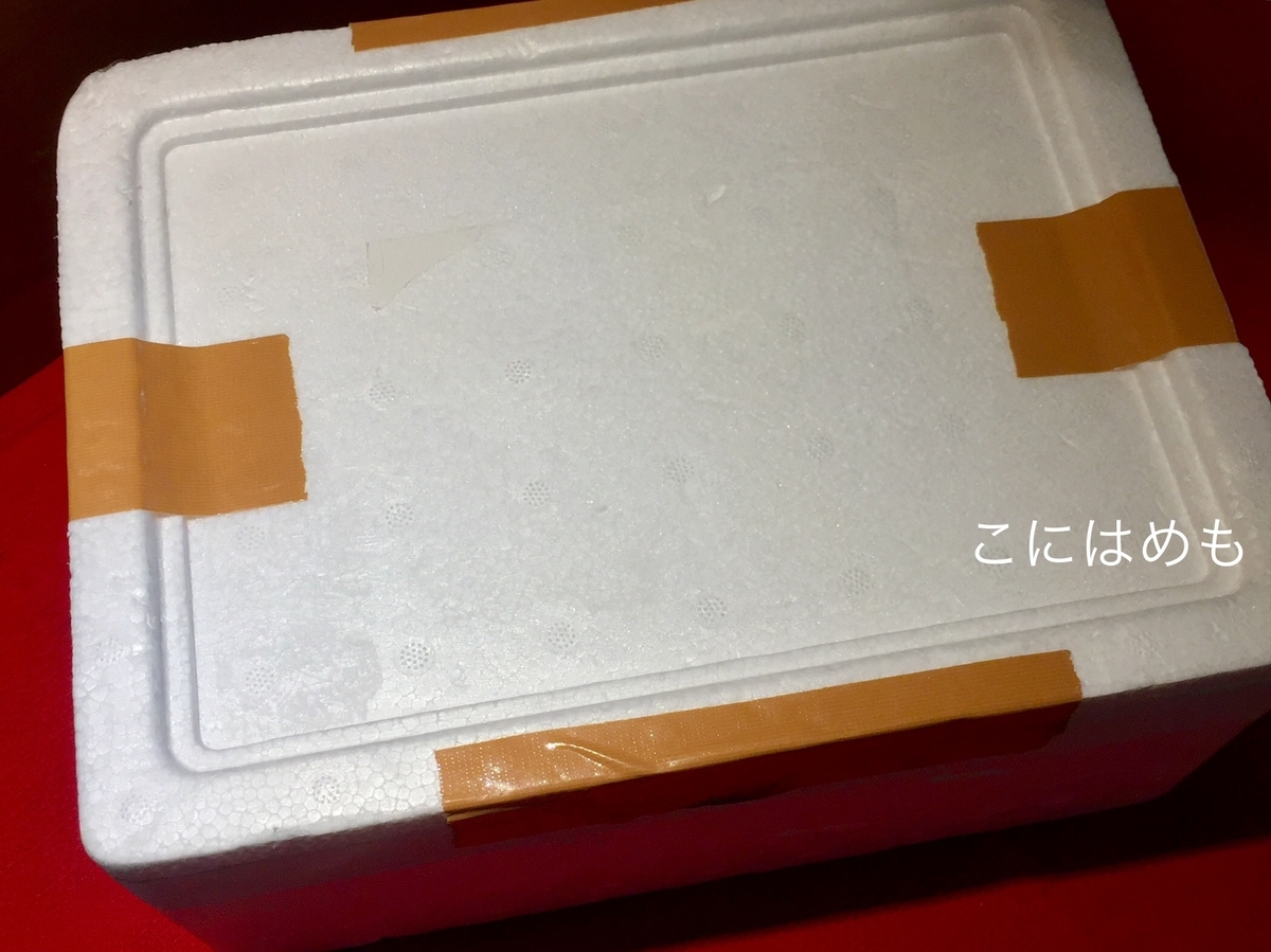 発泡スチロールの箱をしっかり閉じる。