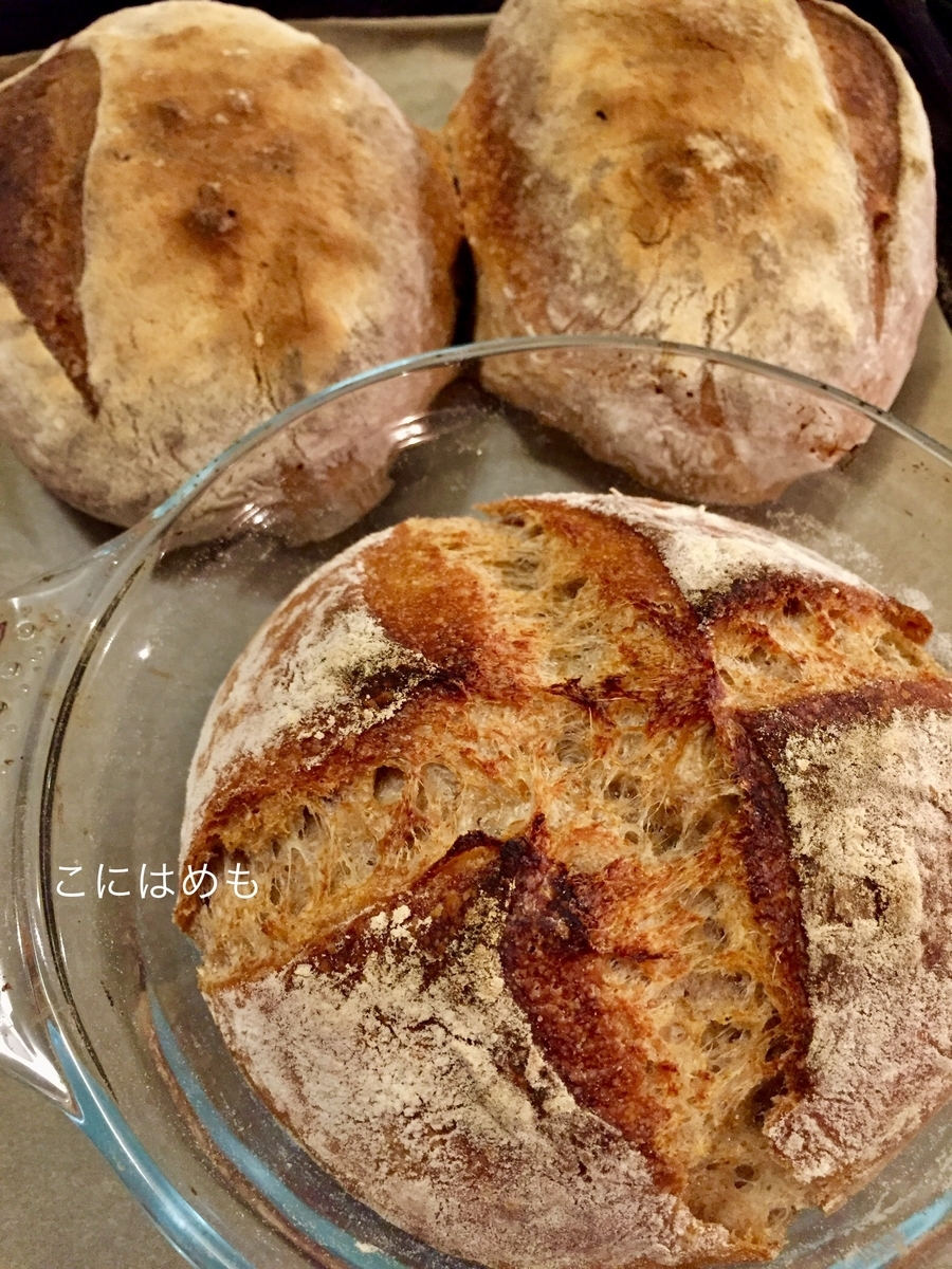 天然酵母パン 美味しく焼ける方法を比較 こにはめも