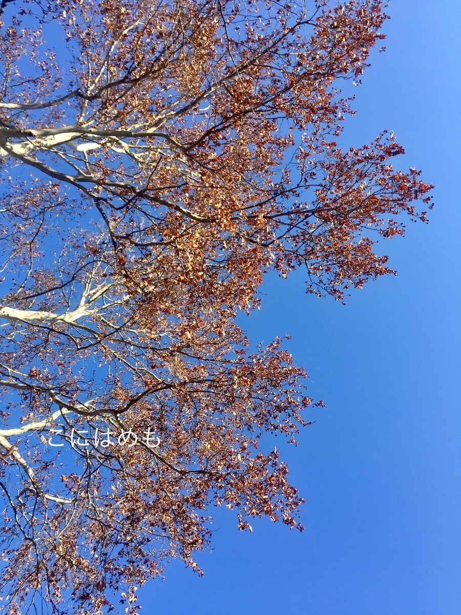 雲ひとつない青空。