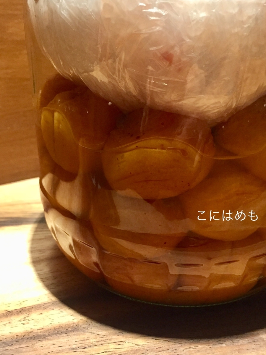 あんずで作る「梅干し・梅漬け」塩分15% 1ヶ月半経過。白カビの対処法。