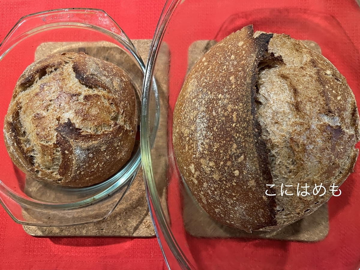 【天然酵母】「全粒粉とスペルト小麦の天然酵母パン」の焼き上がり。