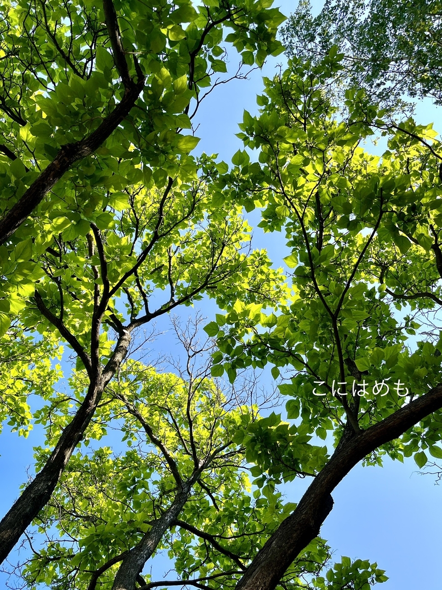 雨が降ったり、晴れたりのブダペスト。