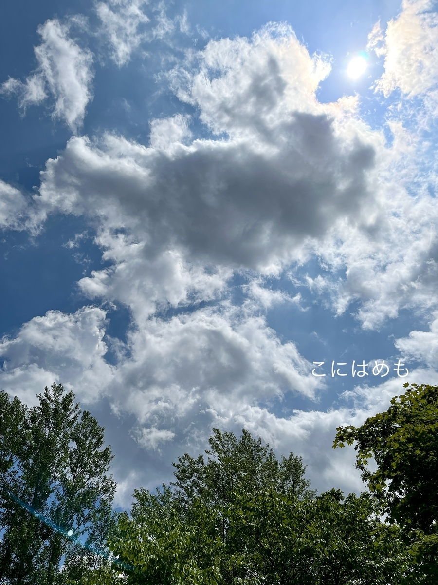 久しぶりの日本の夏空。