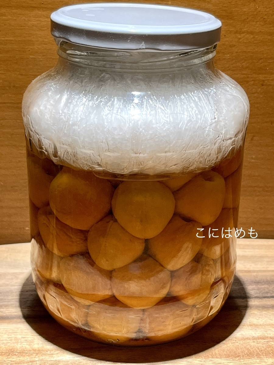 ハンガリーで作る!塩分15%「あんずの梅干し・梅漬け」9日目。