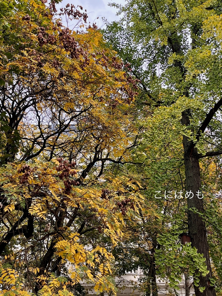 もうすぐ紅葉も終わり？のブダペスト。
