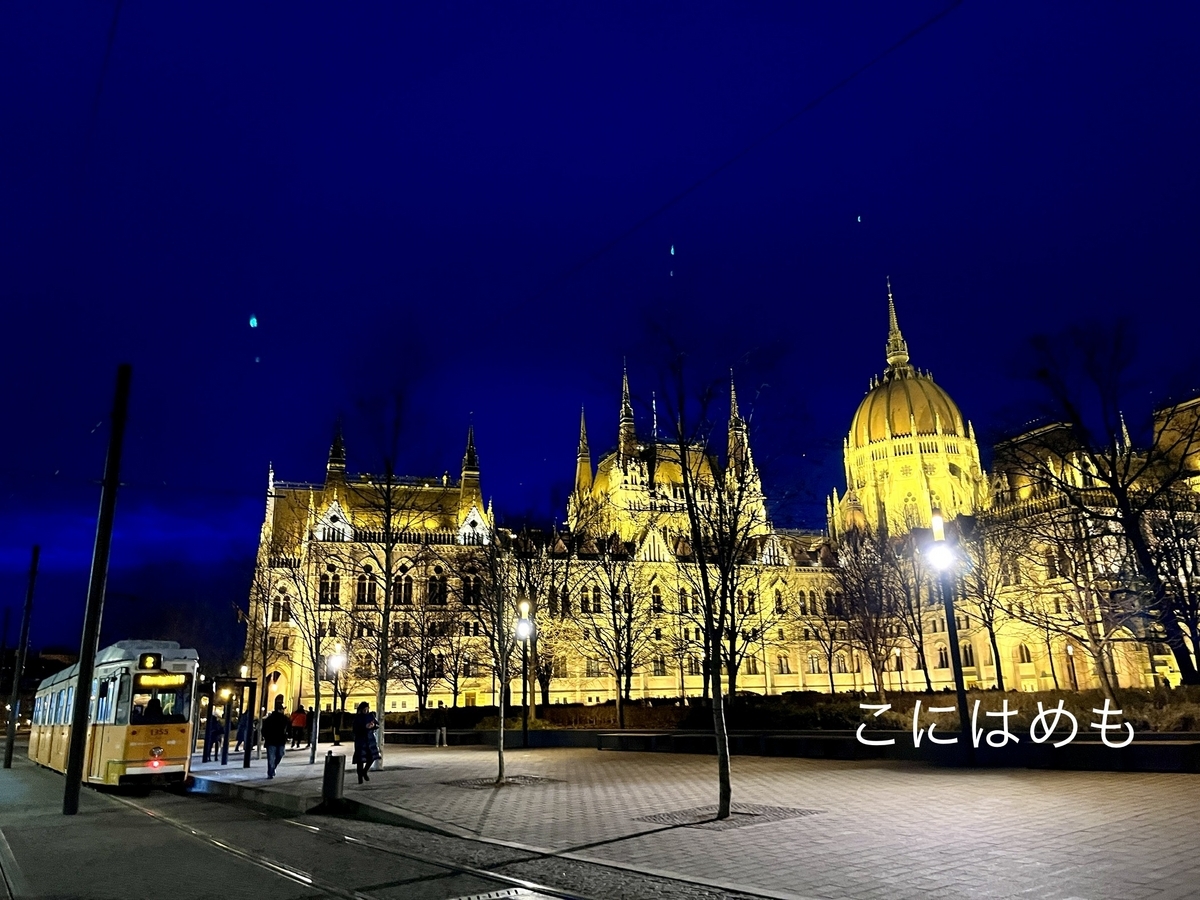 ブダペストの国会議事堂の夜景。