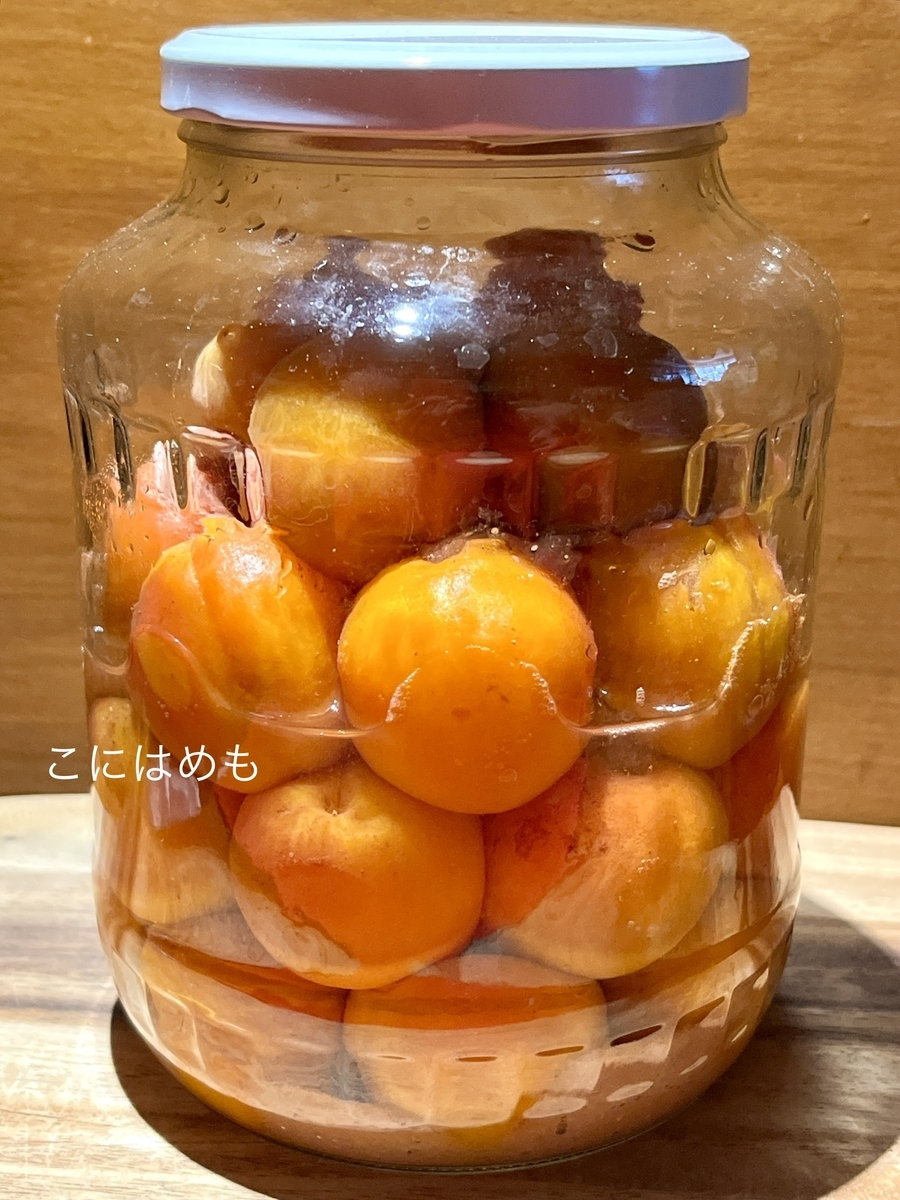 1日後のあんずで作る「梅干し・梅漬け」の様子。