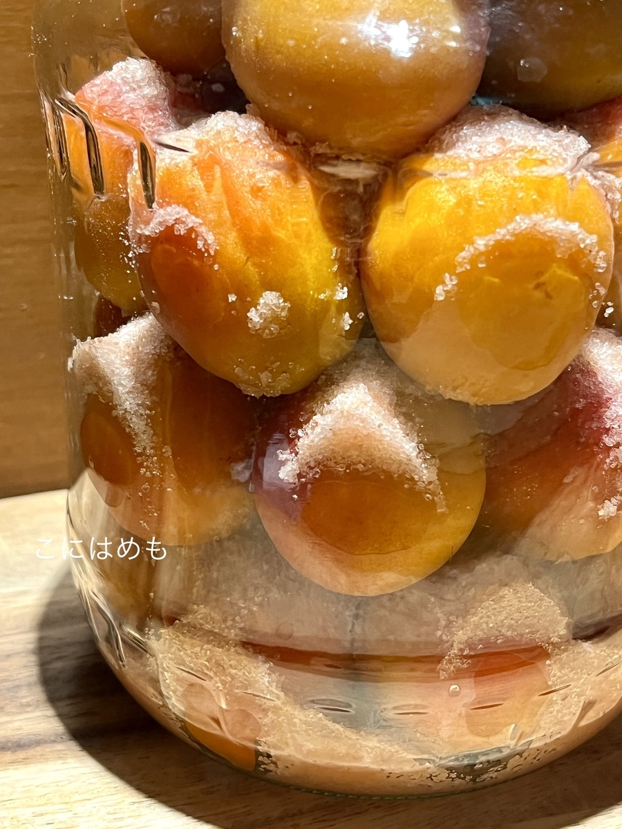 冷暗所に置いておく。