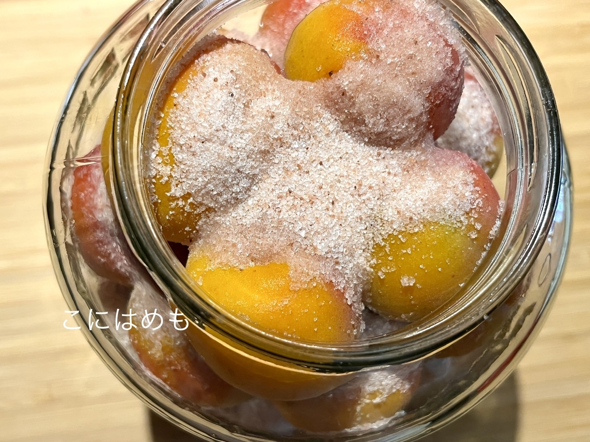 瓶にあんず、お塩を入れて層にしていく。