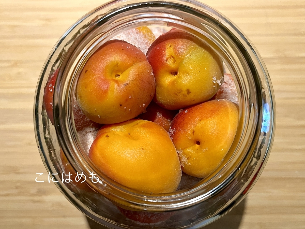 瓶にあんず、お塩を入れて層にしていく。