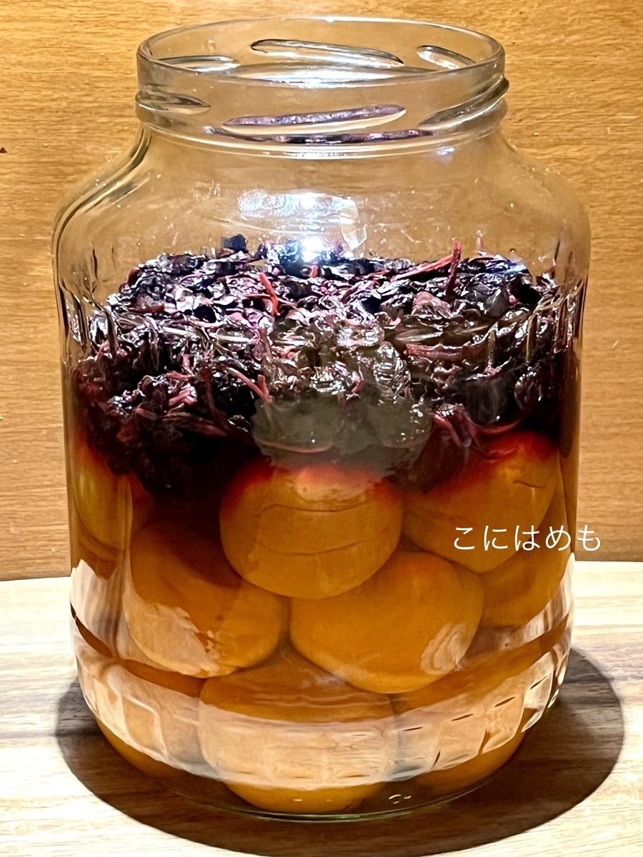 自家製「もみしそ(赤しその酢漬け)」の使い道「梅干し・梅漬け」