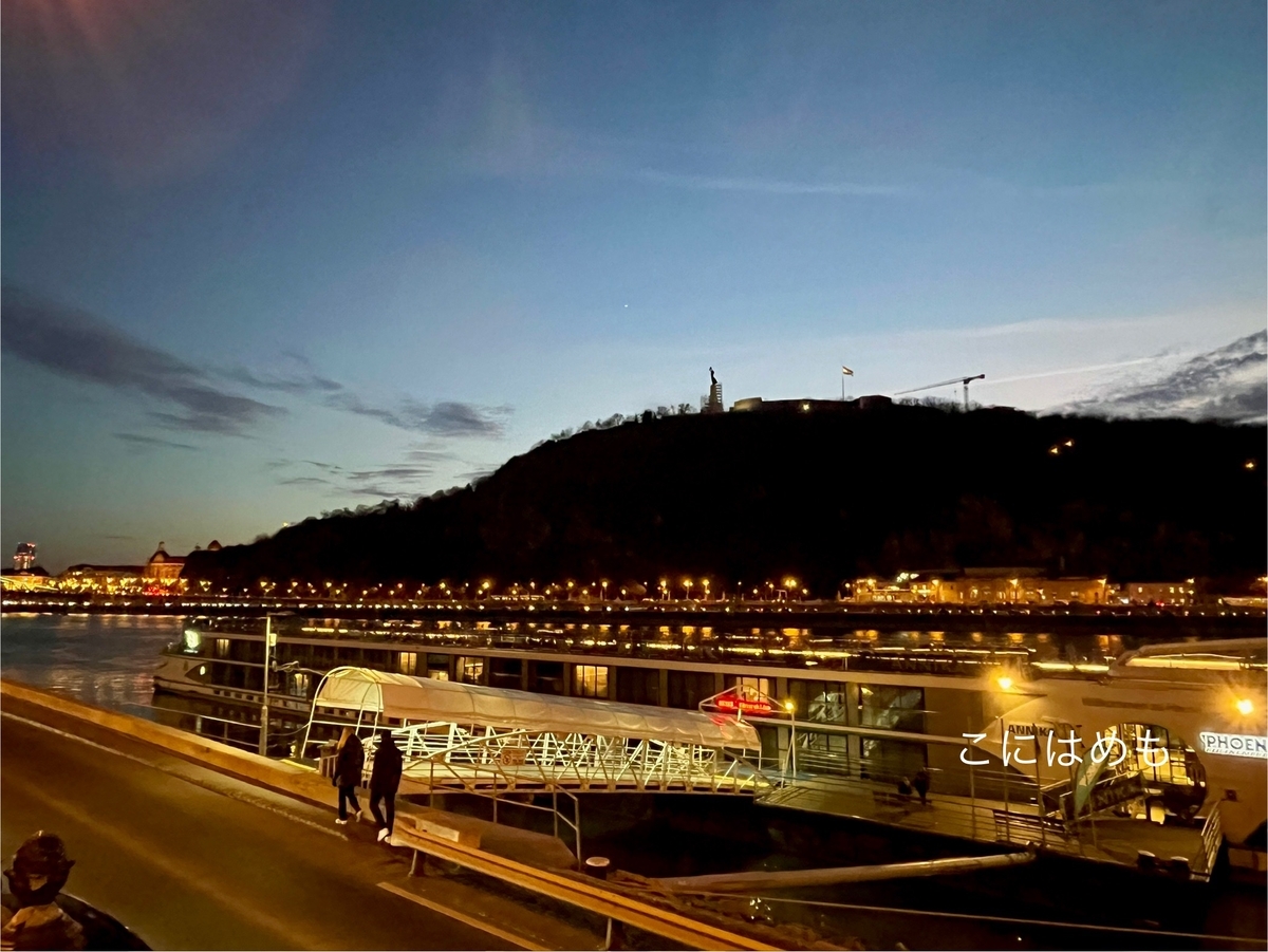 ブダペストのドナウ川とエルジェーベト橋。
