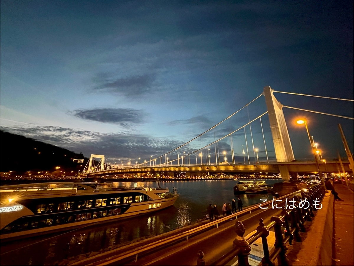 ブダペストのドナウ川とエルジェーベト橋。