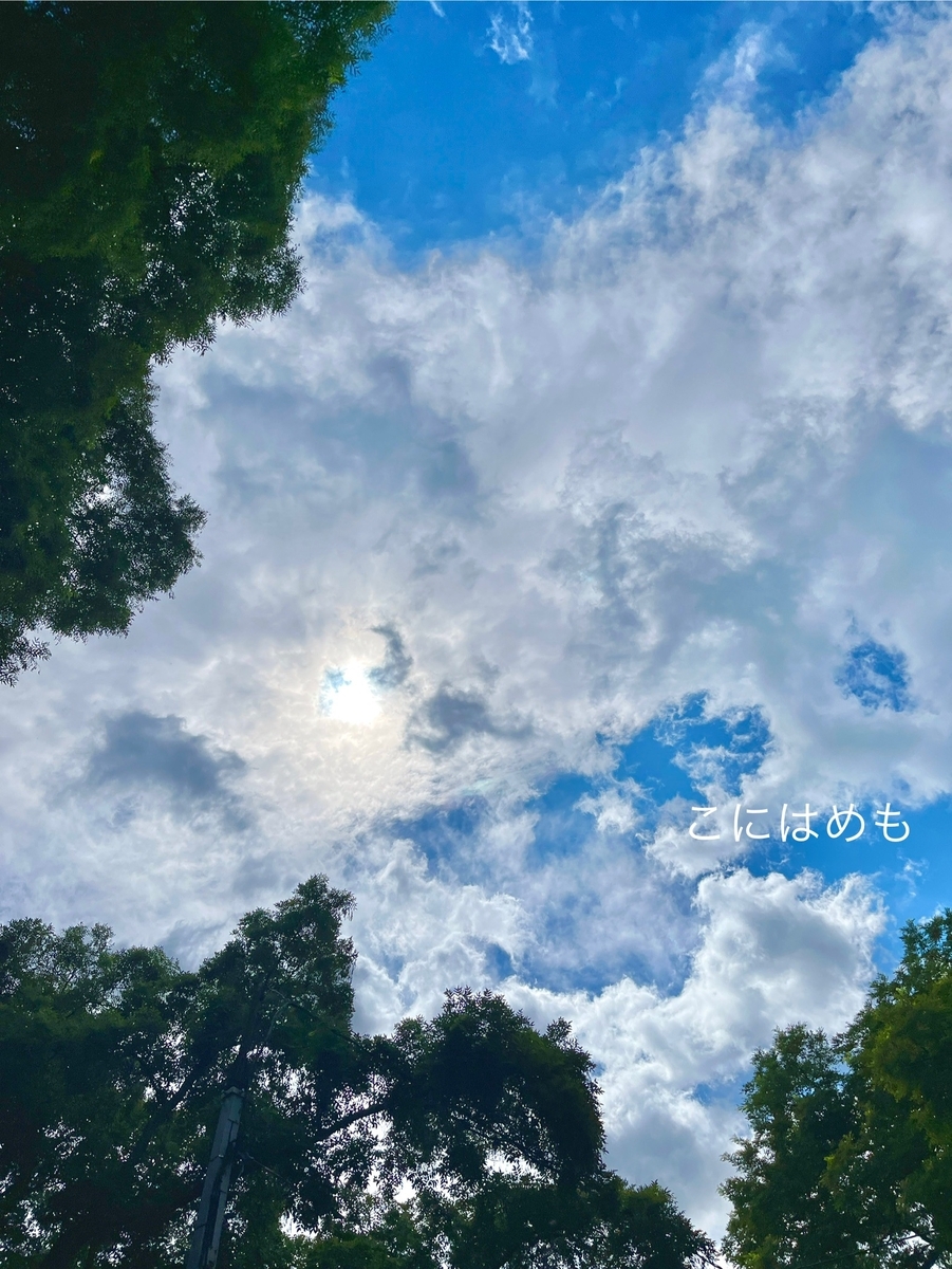 6月はじめ真夏日のブダペスト。