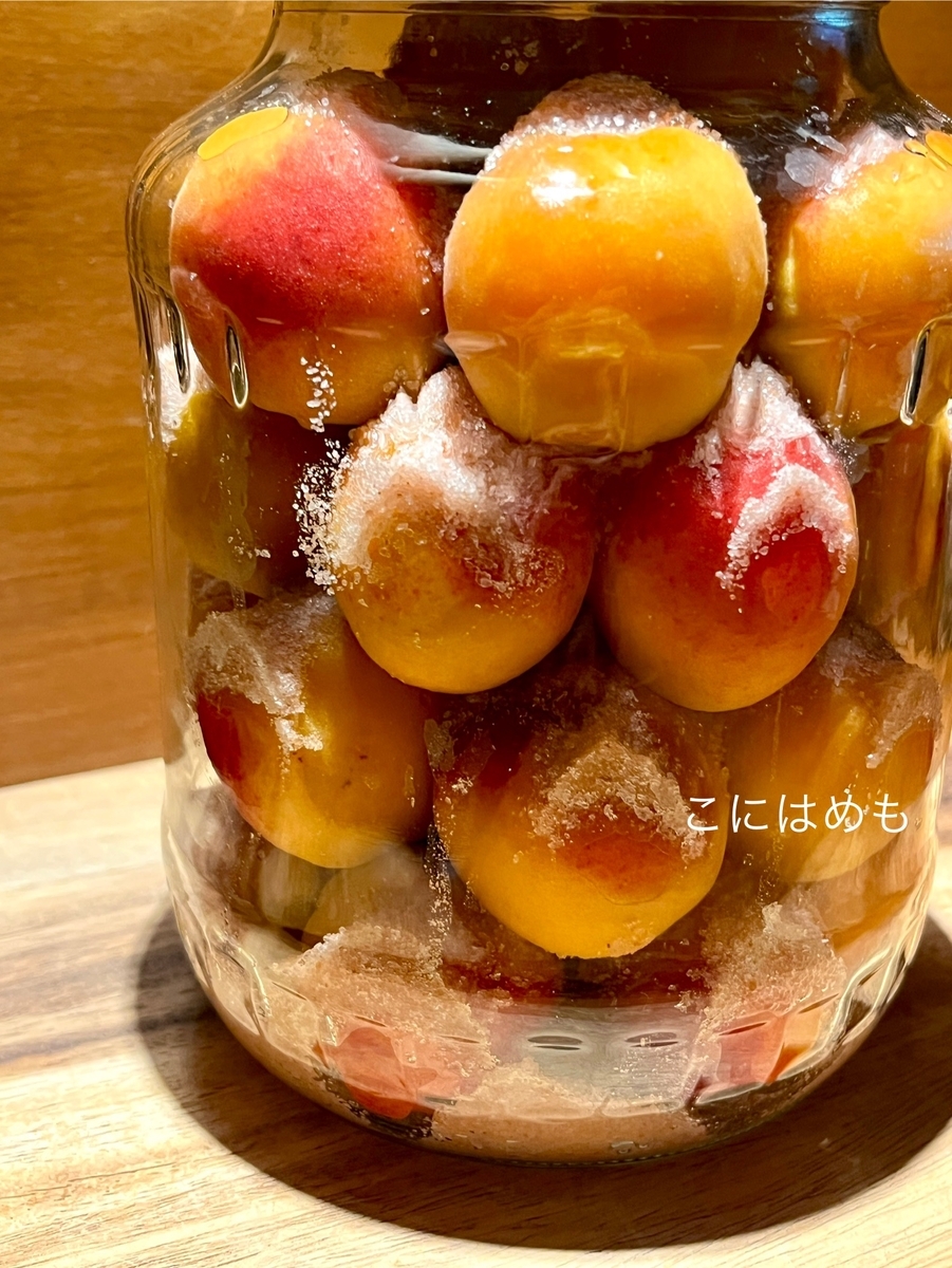 あんずで作る！「梅干し(梅漬け)」塩分15%　重石を入れるタイミングとは？