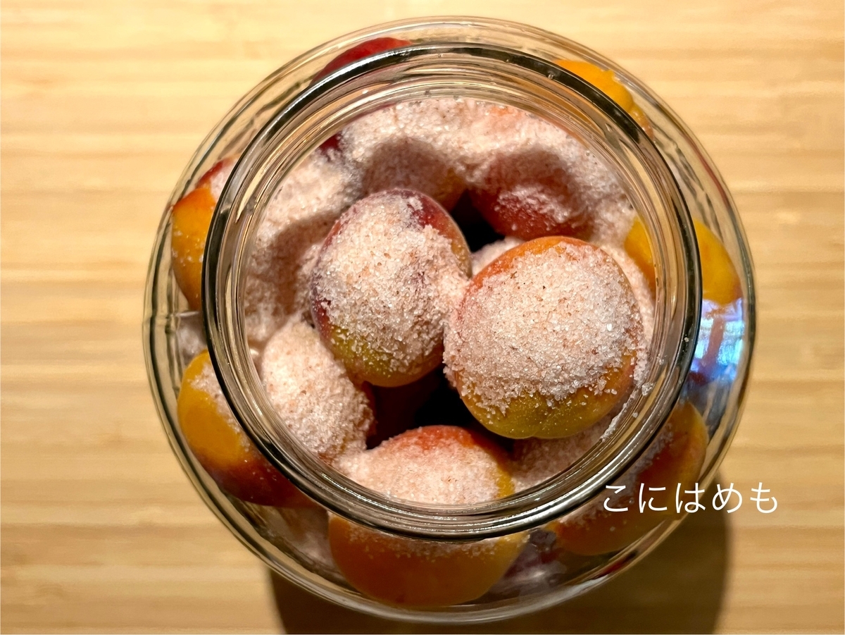 瓶にあんず、お塩を入れて層にしていく。