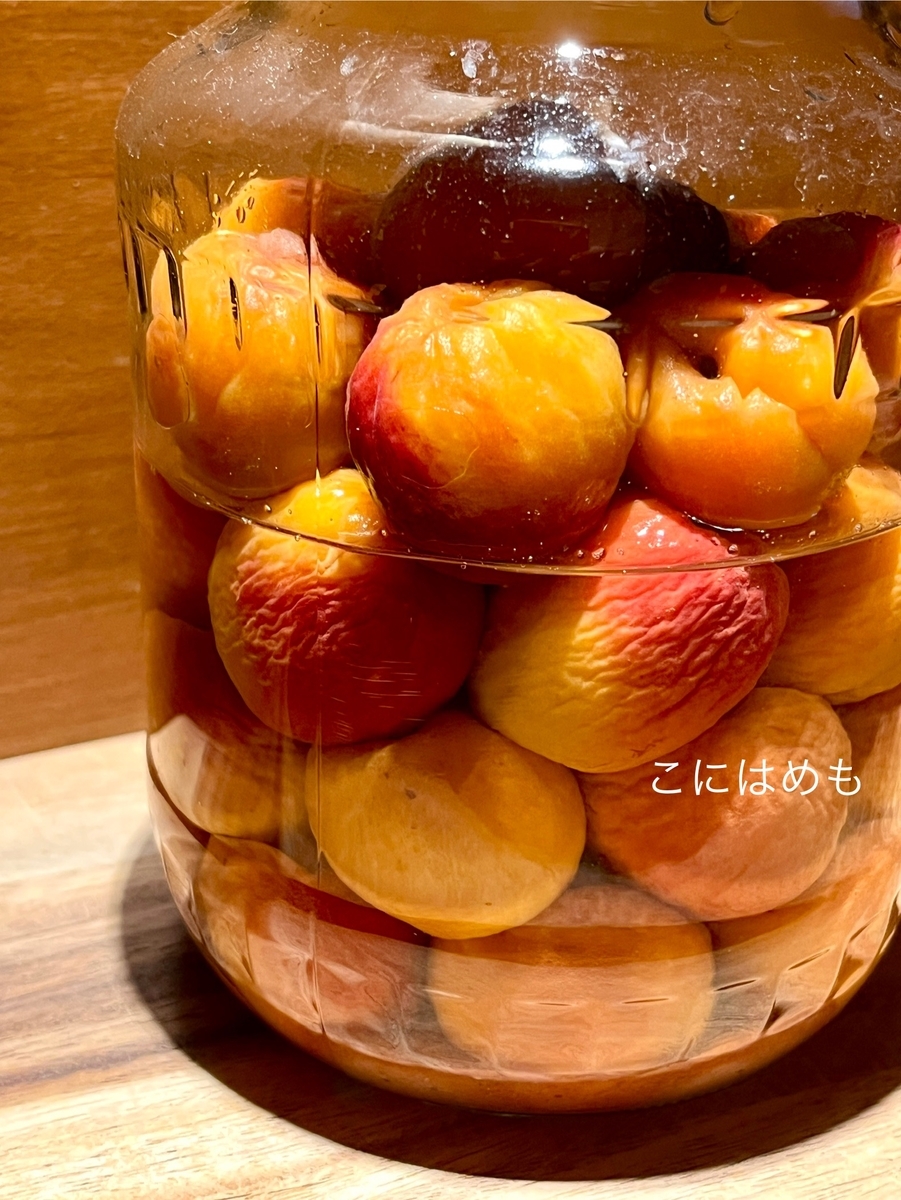 あんずで作る！「梅干し(梅漬け)」塩分15%　重石を入れるタイミングとは？