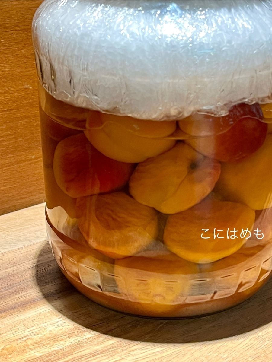 あんずで作る！「梅干し(梅漬け)」塩分15%　重石を入れるタイミングとは？