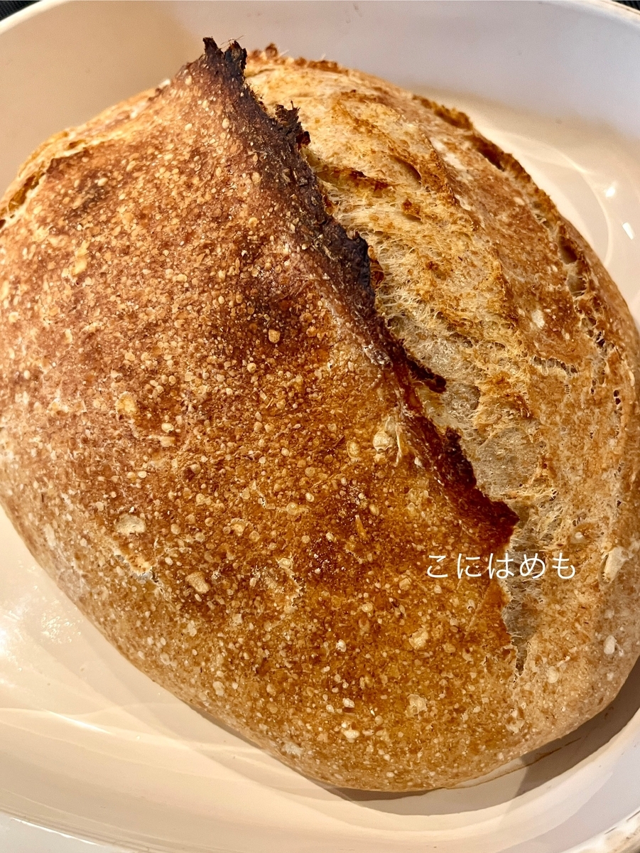 【天然酵母】日本で作る！「スペルト小麦と胚芽の天然酵母パン」放置するパン生地を使って作るパン。焼き上がり。
