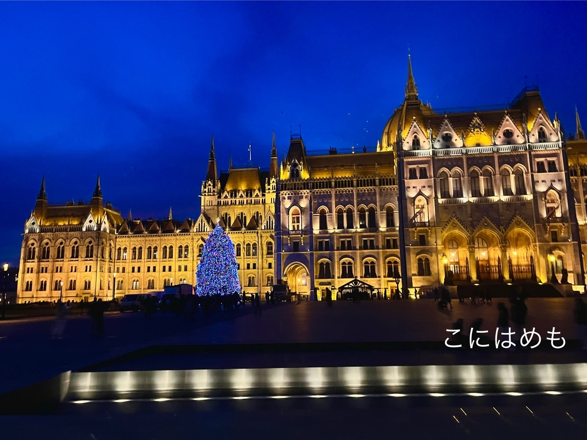 ブダペストの国会議事堂とクリスマスツリー【2025.12】