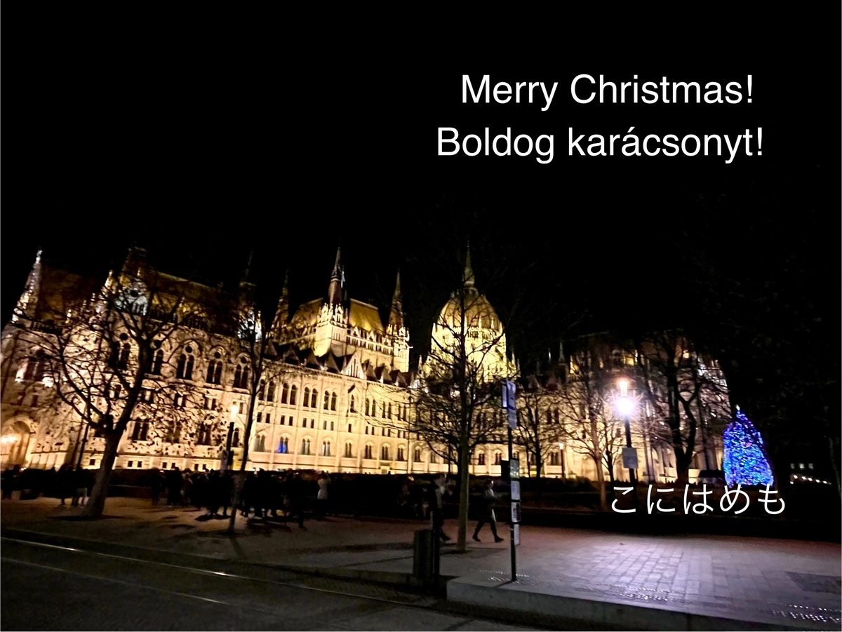 ブダペストの国会議事堂とクリスマスツリー。