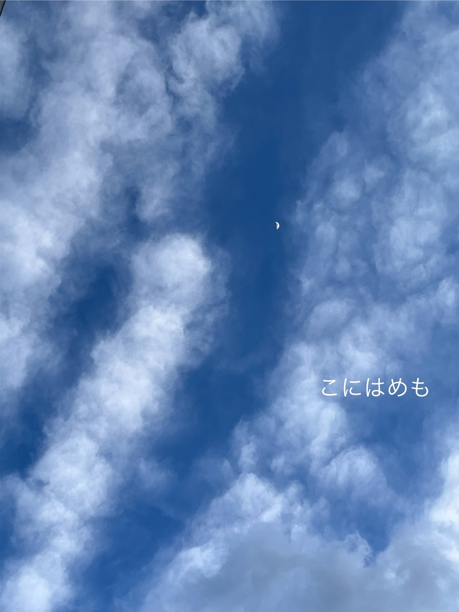 春らしい空になってきたブダペスト。