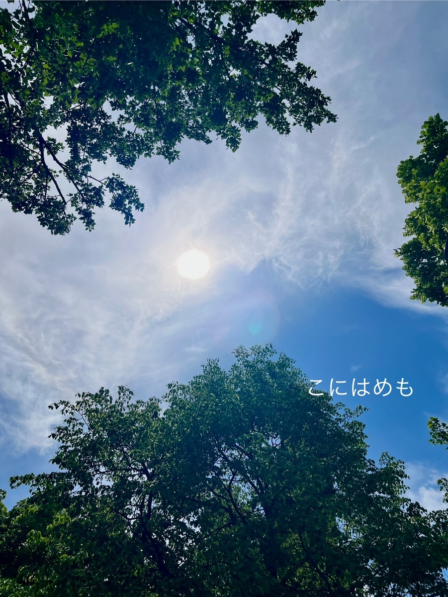 初夏のような陽気のブダペスト。