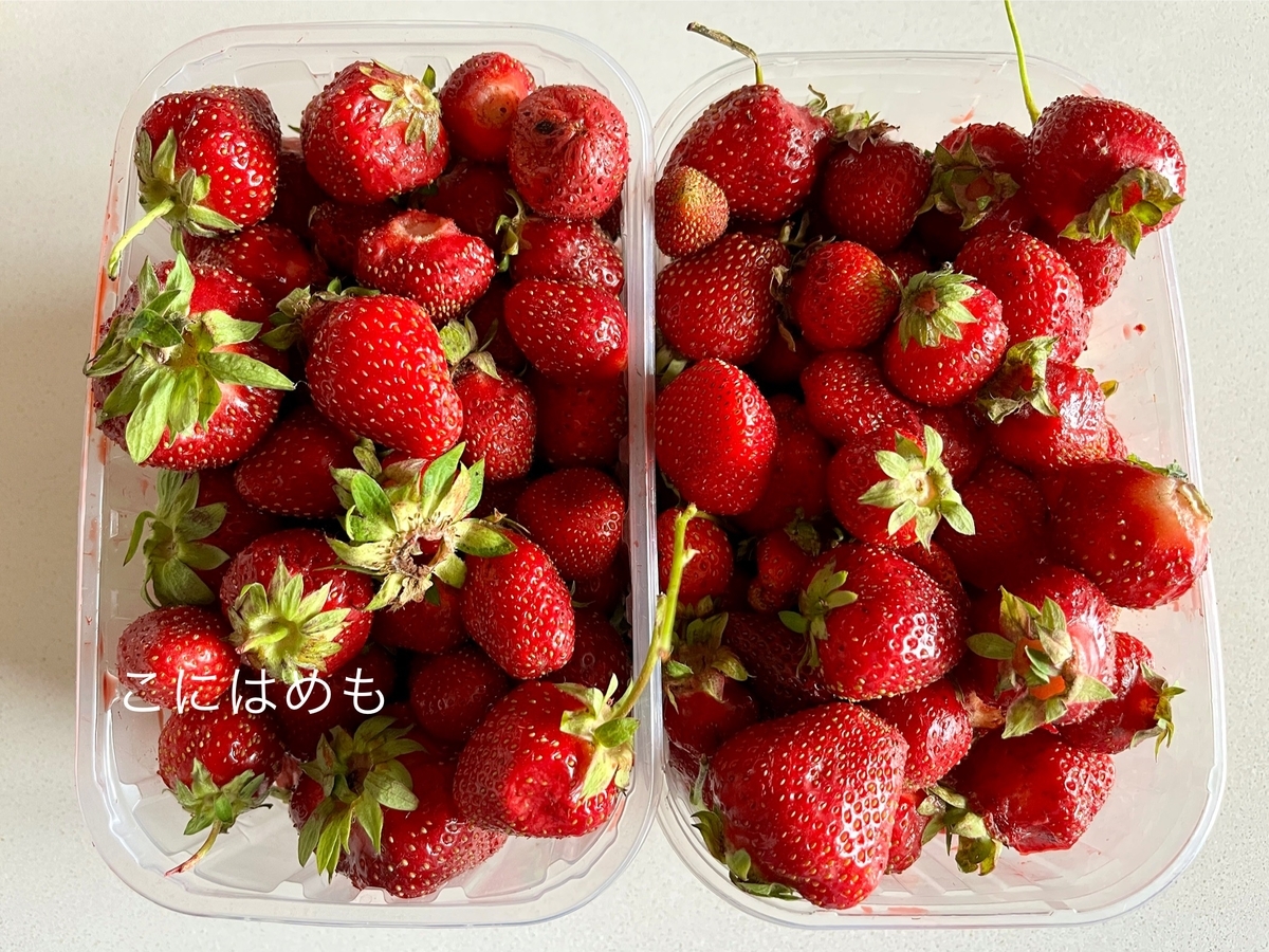 使用するよく熟れた「いちご」
