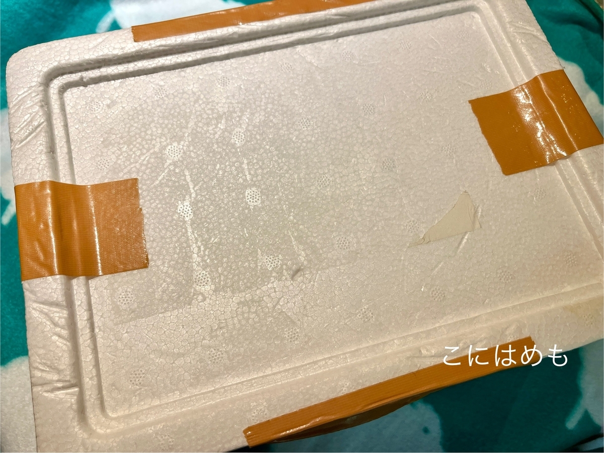 ホッカイロを入れて、フタをしっかりと閉じる。