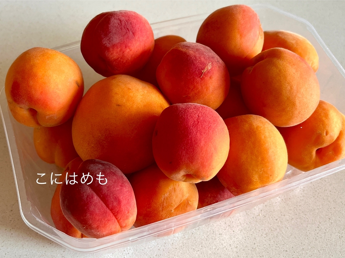 ハンガリーの農家の方の「アプリコット」