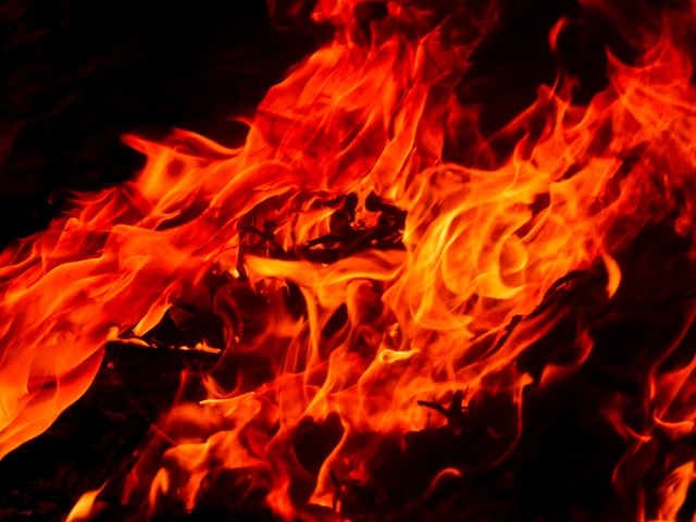 f:id:koo-chan:20200611200829j:plain f:id:koo-chan:20200611200829j:plain