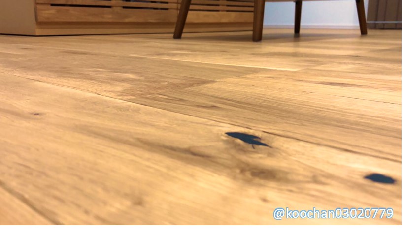 f:id:koo-chan:20200701191222j:plain f:id:koo-chan:20200701191222j:plain