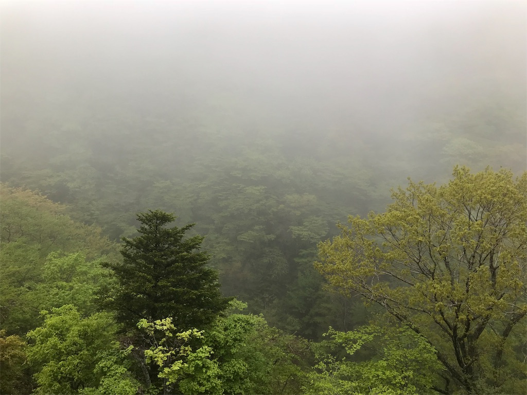 f:id:koo5280ko:20180508172121j:image f:id:koo5280ko:20180508172121j:image