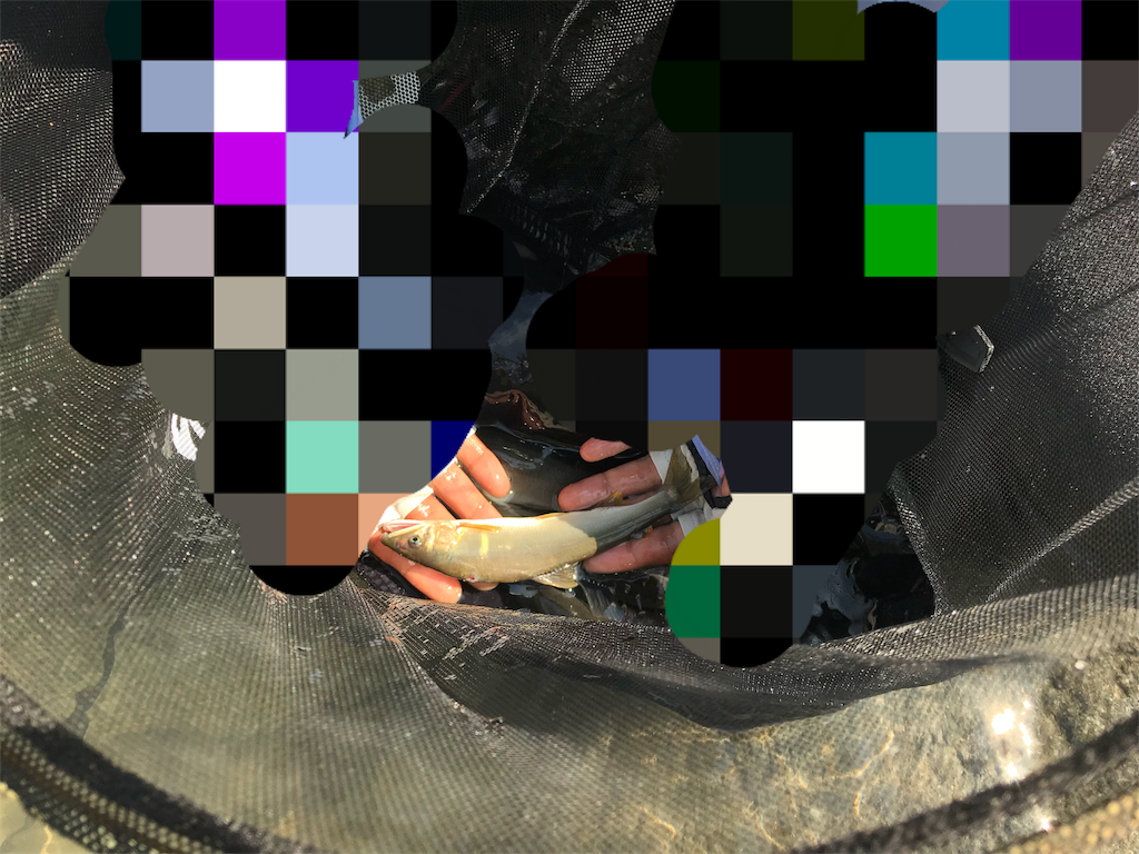 f:id:koo5280ko:20180726161455p:image f:id:koo5280ko:20180726161455p:image