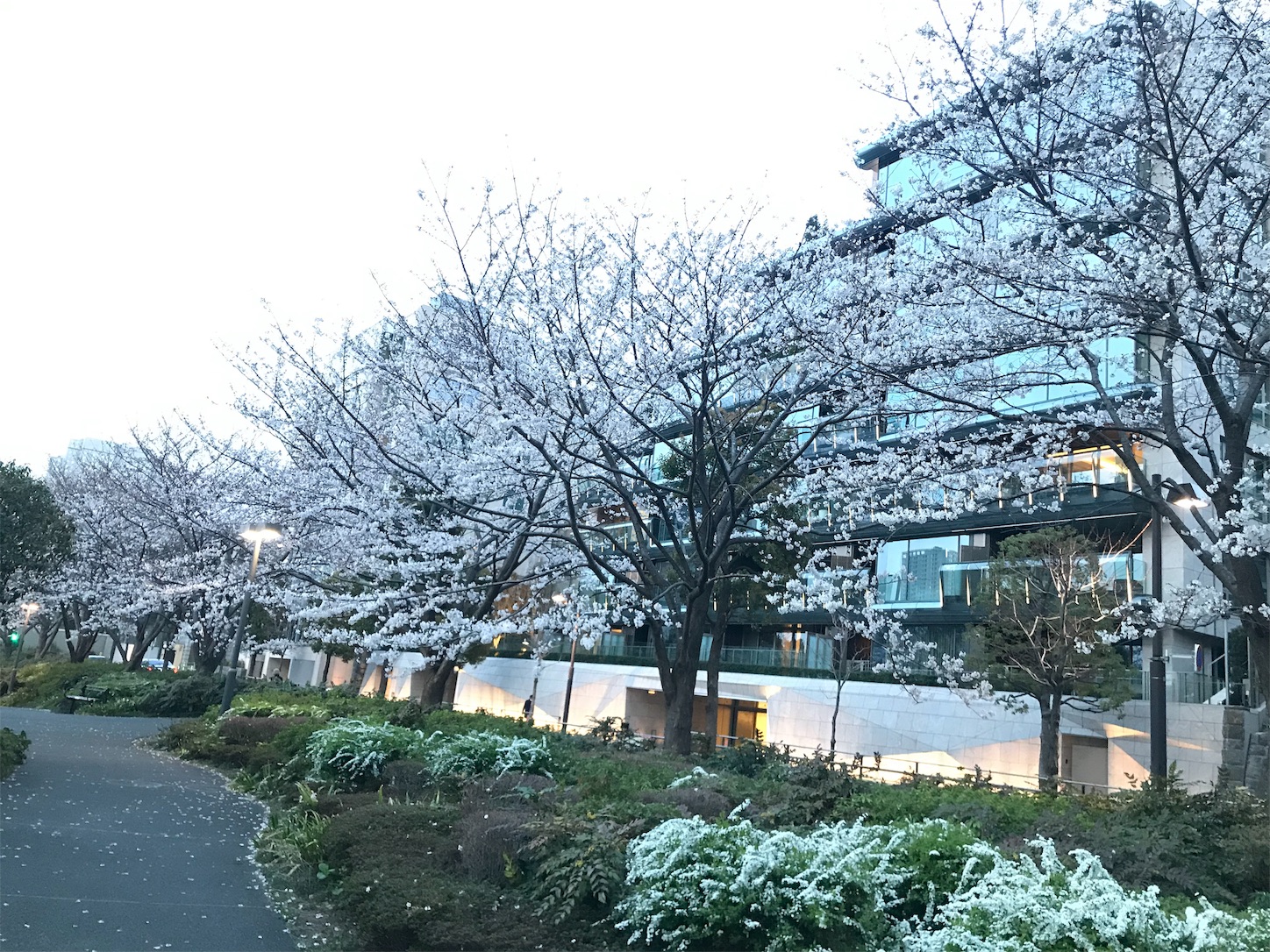 f:id:koo5280ko:20190327193544j:image