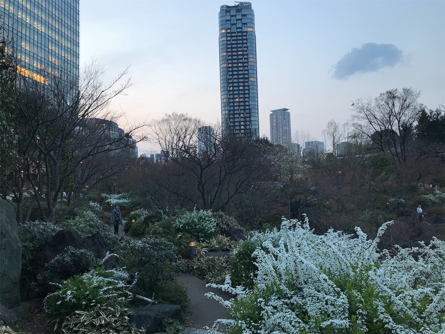 f:id:koo5280ko:20190327194215j:image