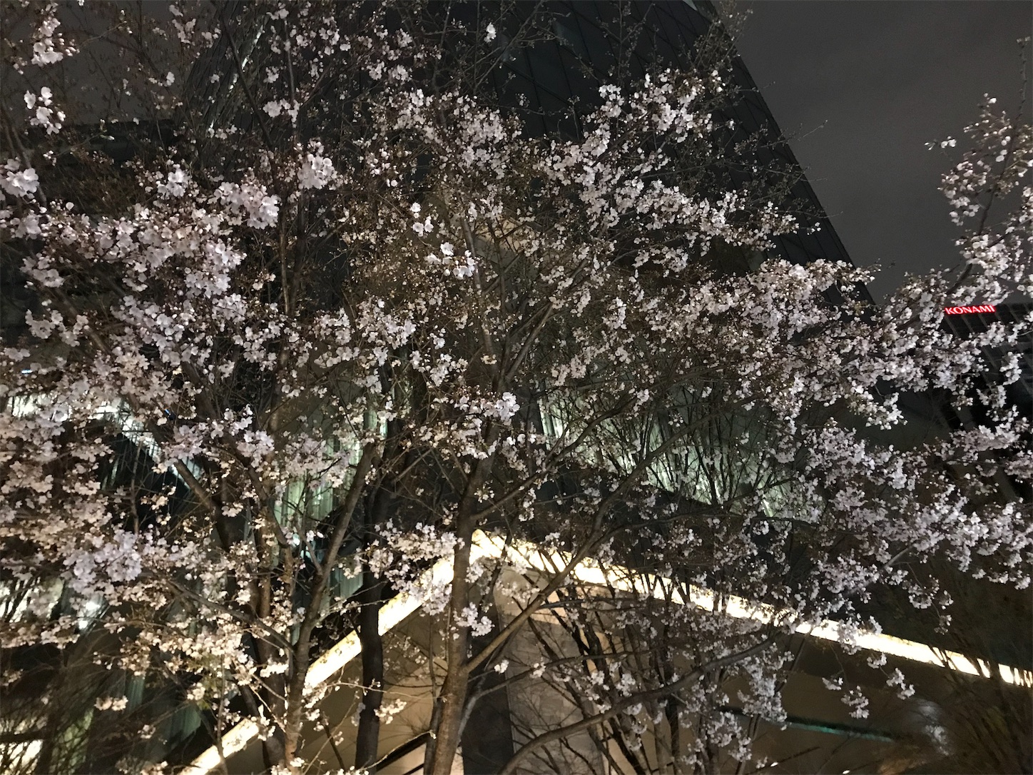 f:id:koo5280ko:20190327201740j:image
