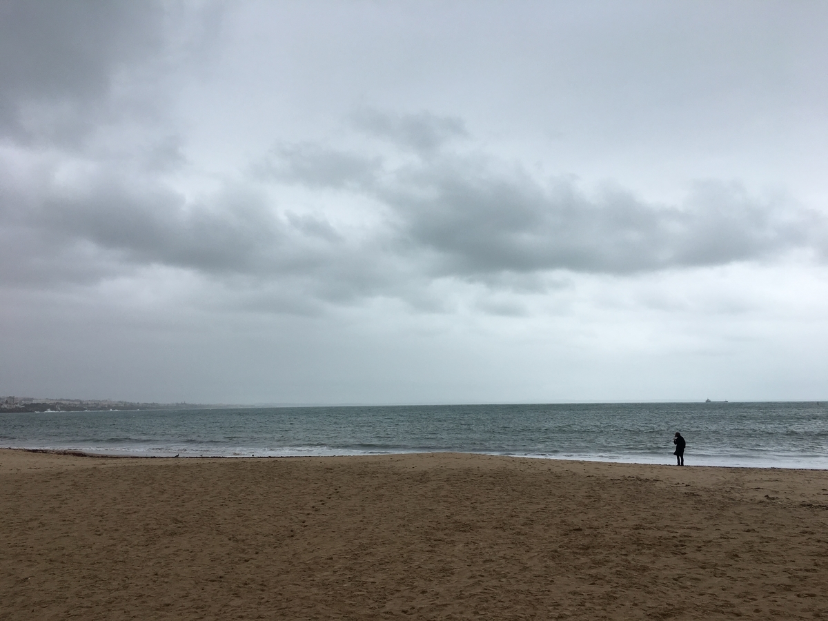 f:id:kooginocorgi:20210225112059j:plain