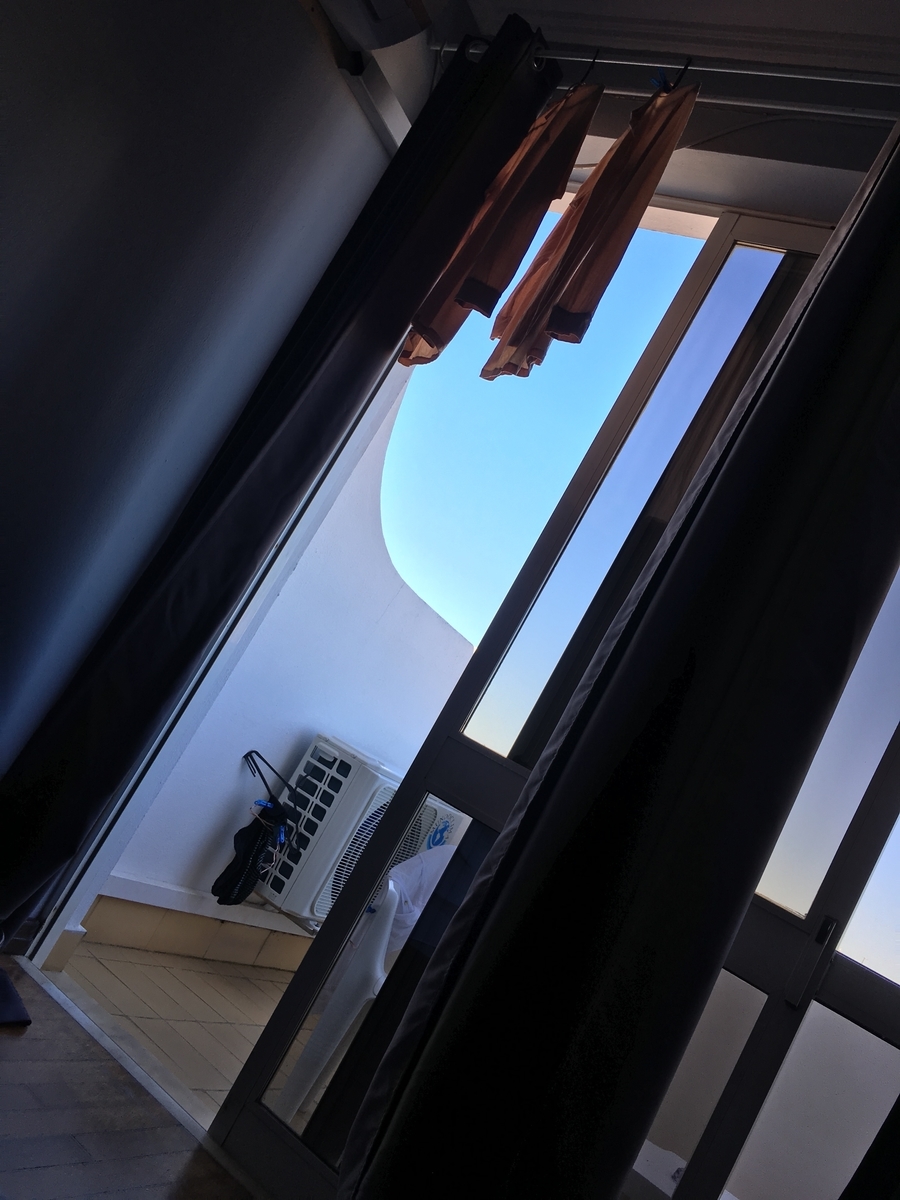 f:id:kooginocorgi:20210407093846j:plain