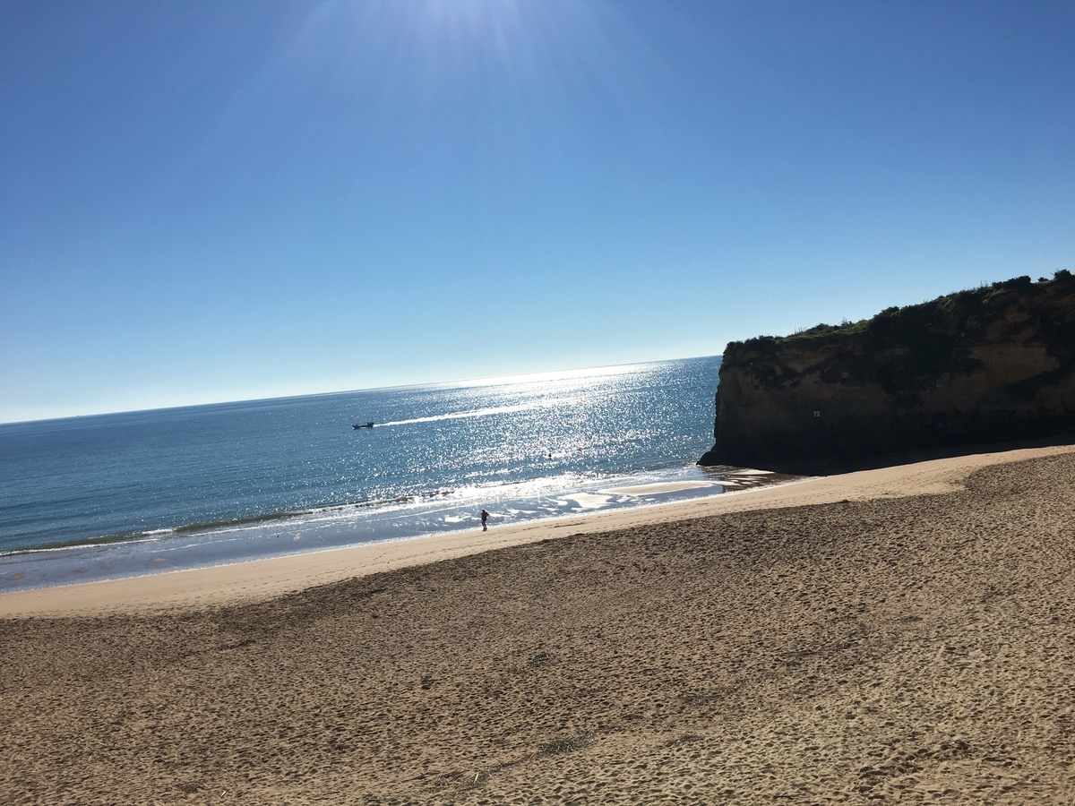 f:id:kooginocorgi:20210407104024j:plain