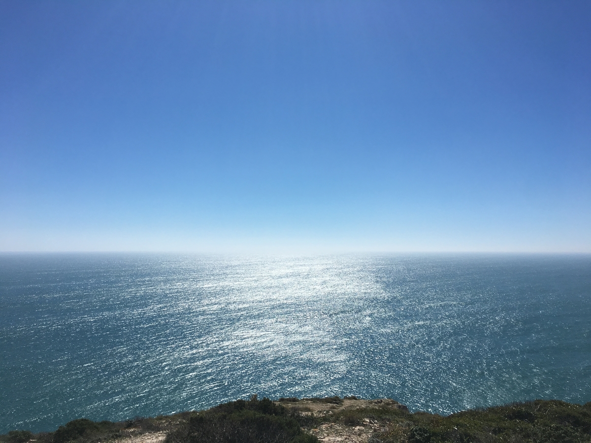 f:id:kooginocorgi:20210407110802j:plain